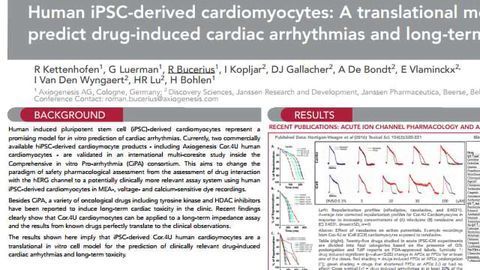 Human iPSC-derived cardiomyocytes: A translational model to predict drug-induced cardiac arrhythmias and long-term toxicity