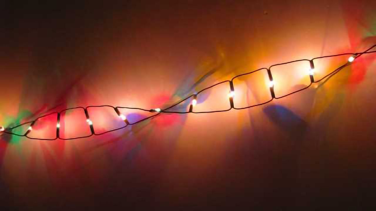 CRISPRa: A universal "on switch" to identify functional gene enhancers