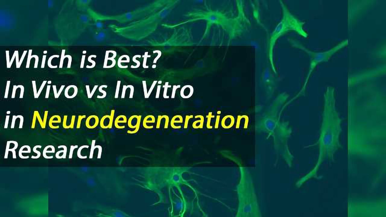 Studying the Role of Astrocytes and Microglia in Neurodegenerative Disease: in vivo animal models or in vitro cell culture?