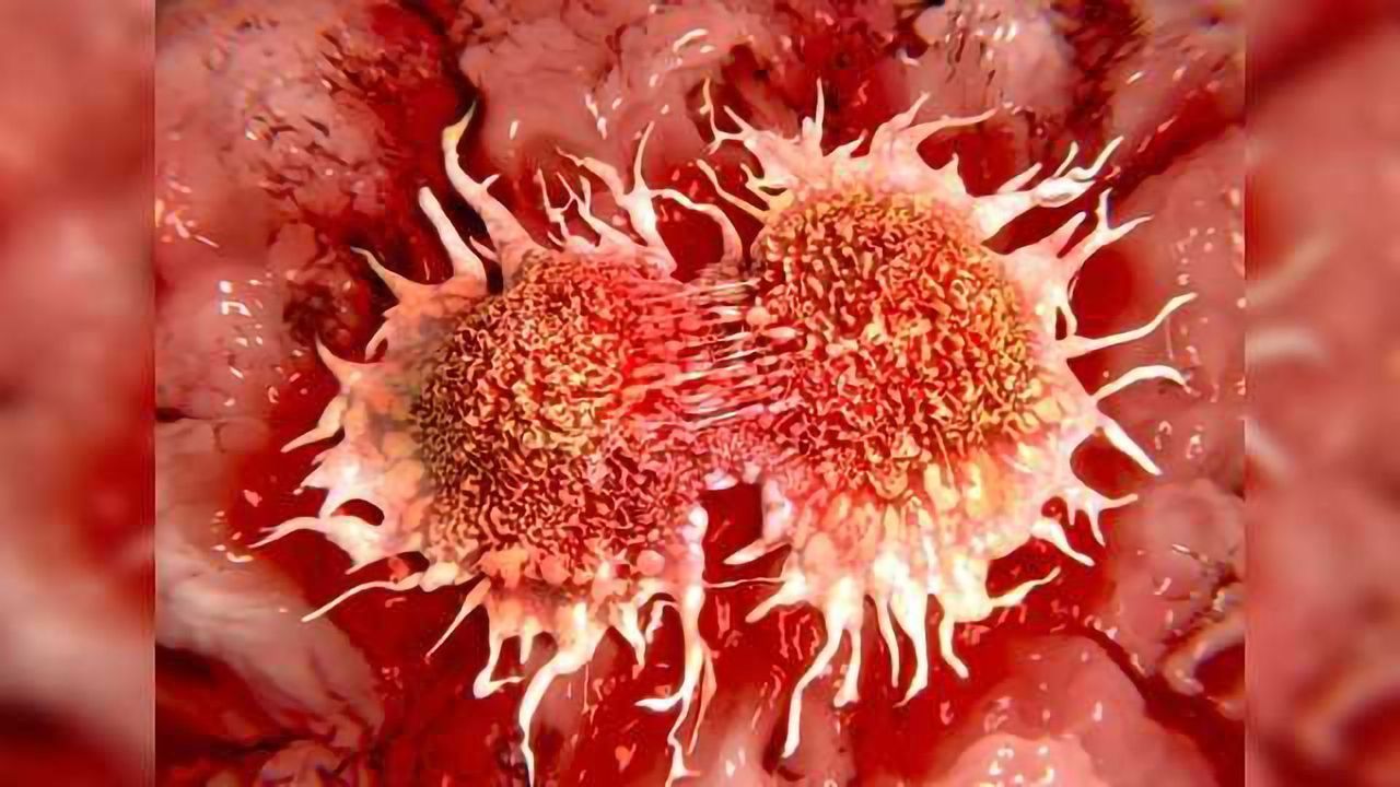 Glythera Collaborates With Cancer Research UK to Develop Next-Generation Antibody Drug Conjugate