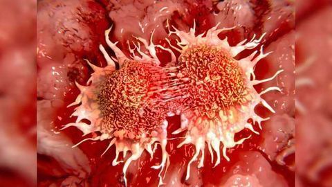 Glythera Collaborates With Cancer Research UK to Develop Next-Generation Antibody Drug Conjugate