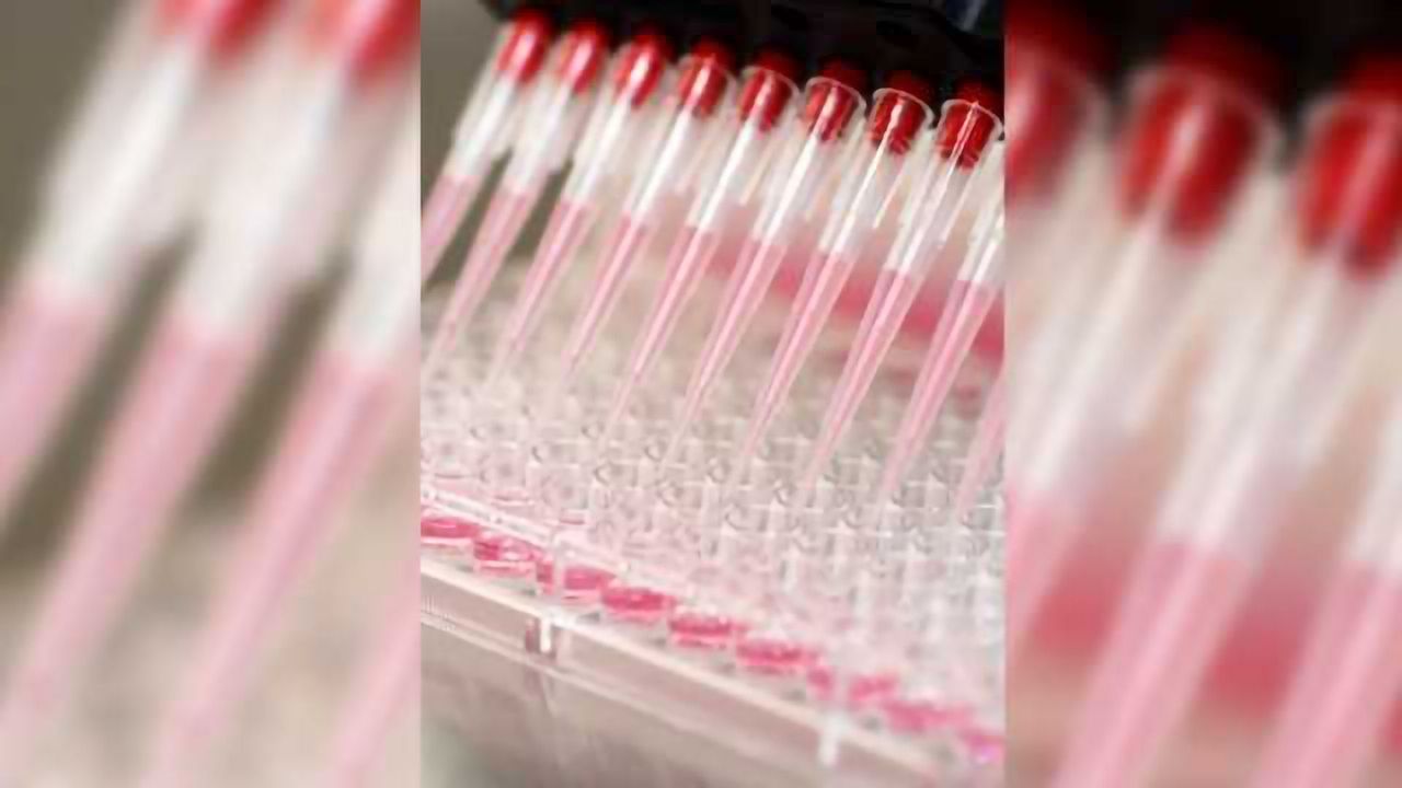 In Vitro Toxicology Testing: Dismantling the Barriers via Collaboration