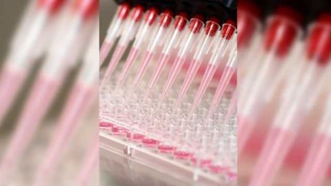 In Vitro Toxicology Testing: Dismantling the Barriers via Collaboration