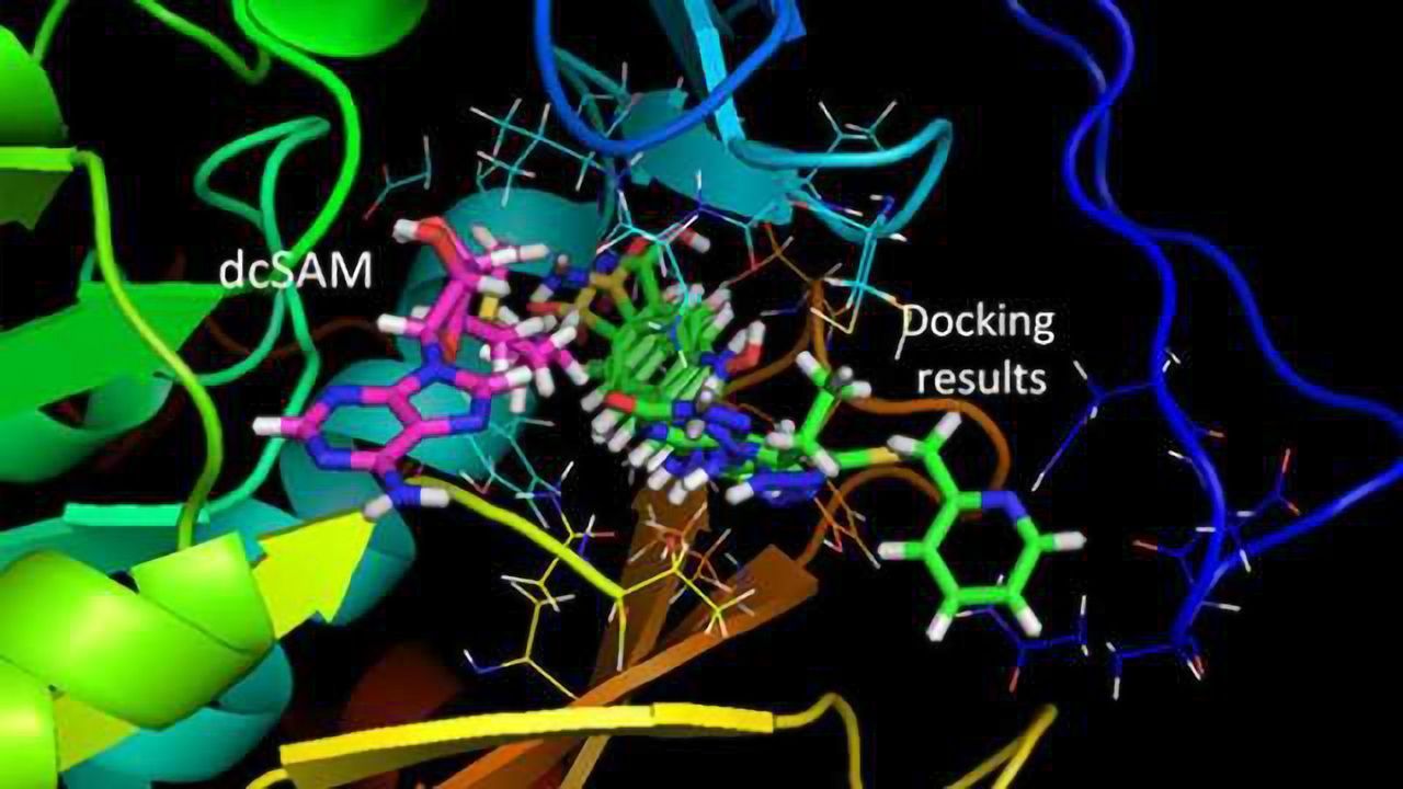 Potential for Anti-Chagas Therapies Using Structure-based Drug Design