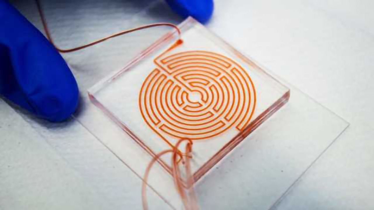 'Labyrinth' Chip Could Help Monitor Aggressive Cancer Stem Cells