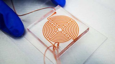 'Labyrinth' Chip Could Help Monitor Aggressive Cancer Stem Cells
