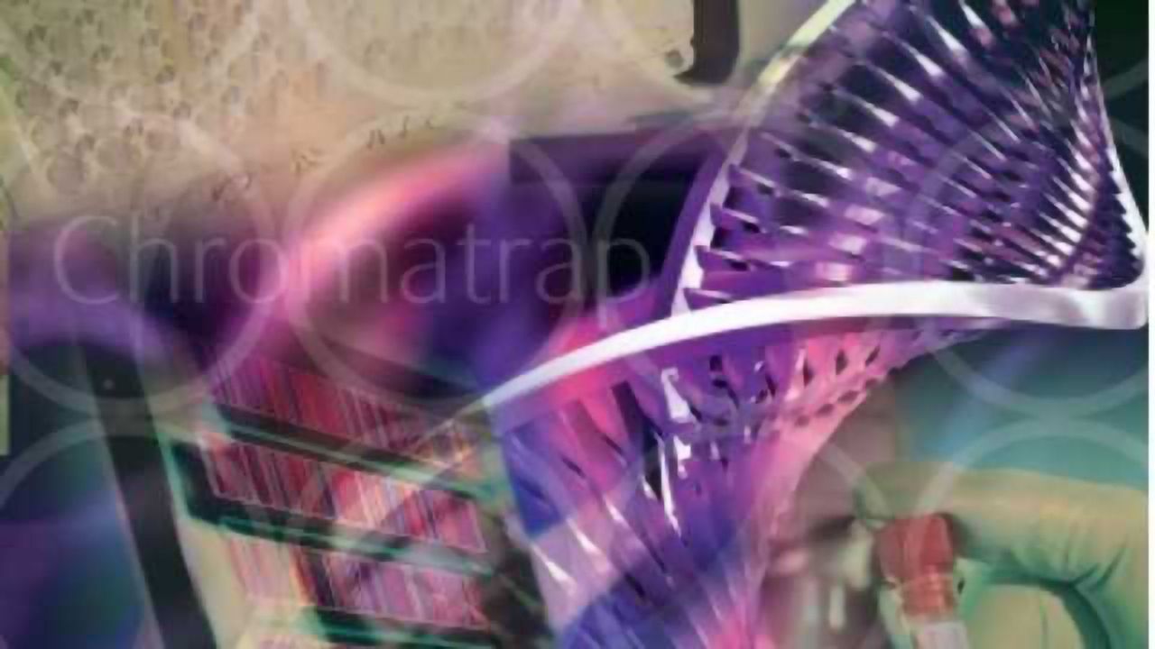 Quick & Efficient Native ChIP Assay
