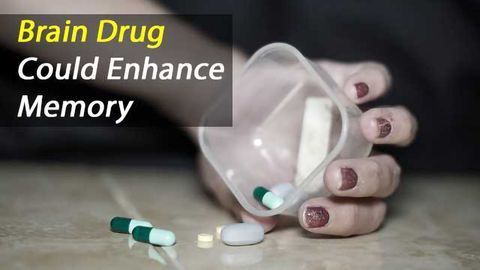A Pharmacologically Enhanced Memory Could Soon Be Possible