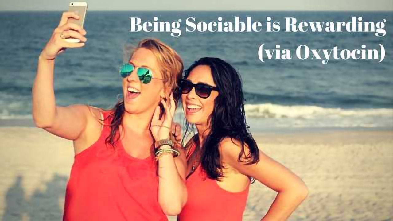 Oxytocin Implicated in Rewarding Social Interaction
