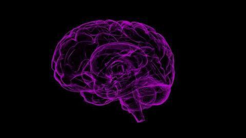 Next-Generation Media System Provides the Highest In Vitro Survival of Neurons