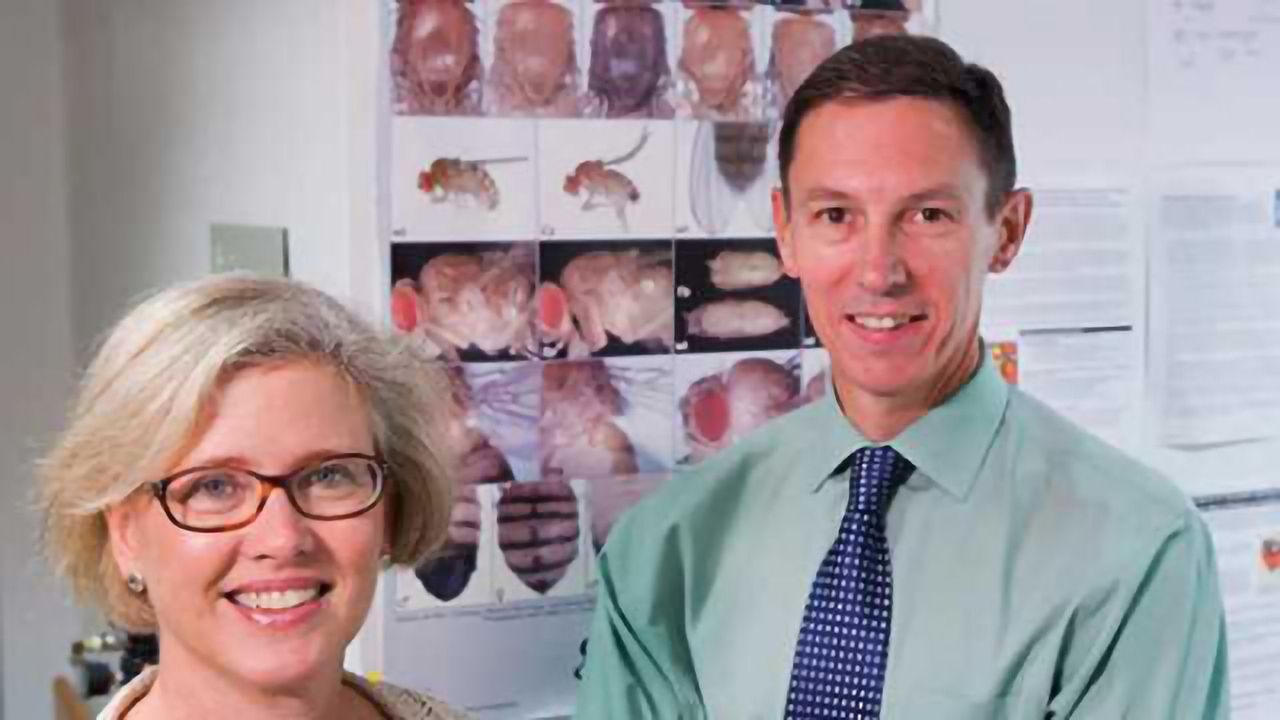 Cell Signals that Trigger Wound Healing are Surprisingly Complex