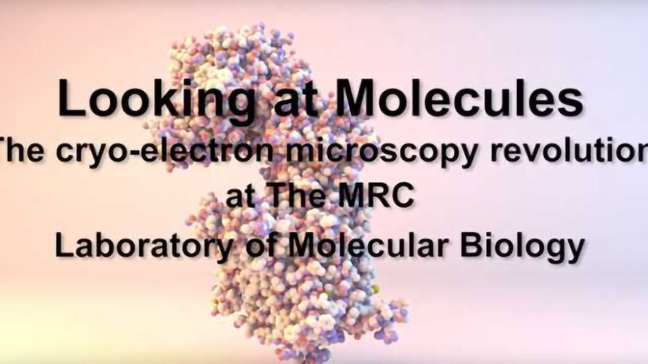 Looking at Molecules: The cryo-electron microscopy revolution at The MRC LMB