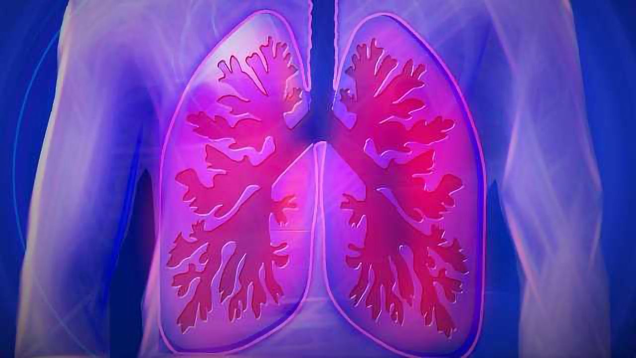 Stem Cells Could Offer Hope for Patients with Lung Damage