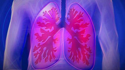 Stem Cells Could Offer Hope for Patients with Lung Damage