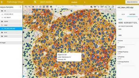Proscia to Transform the Clinical Use of Digital Pathology in Commercial and Hospital Labs