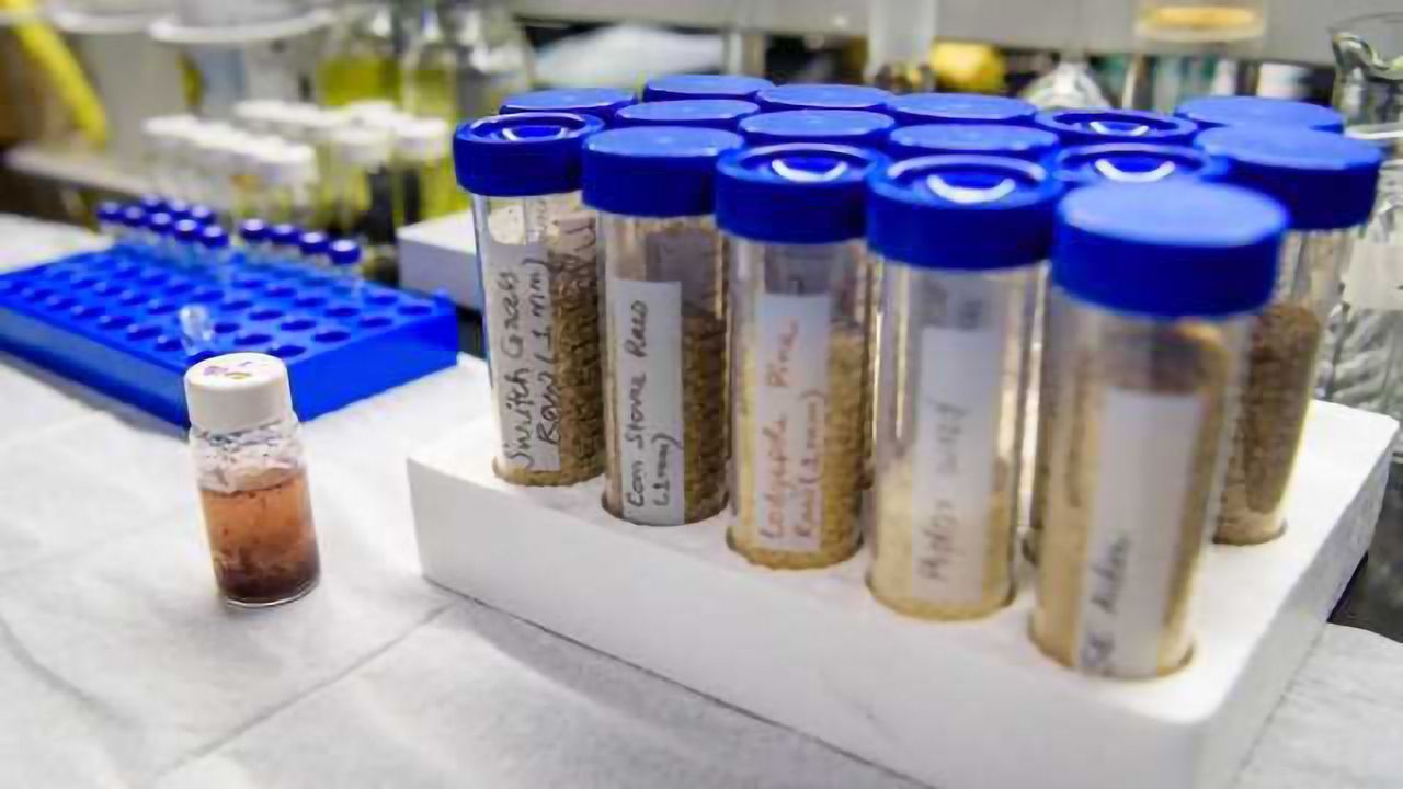 Researchers Invent a Sweeter Greener Way to Make Chemicals