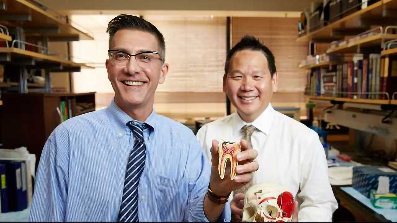 Dentists Get Cracking on the Stem Cell Front