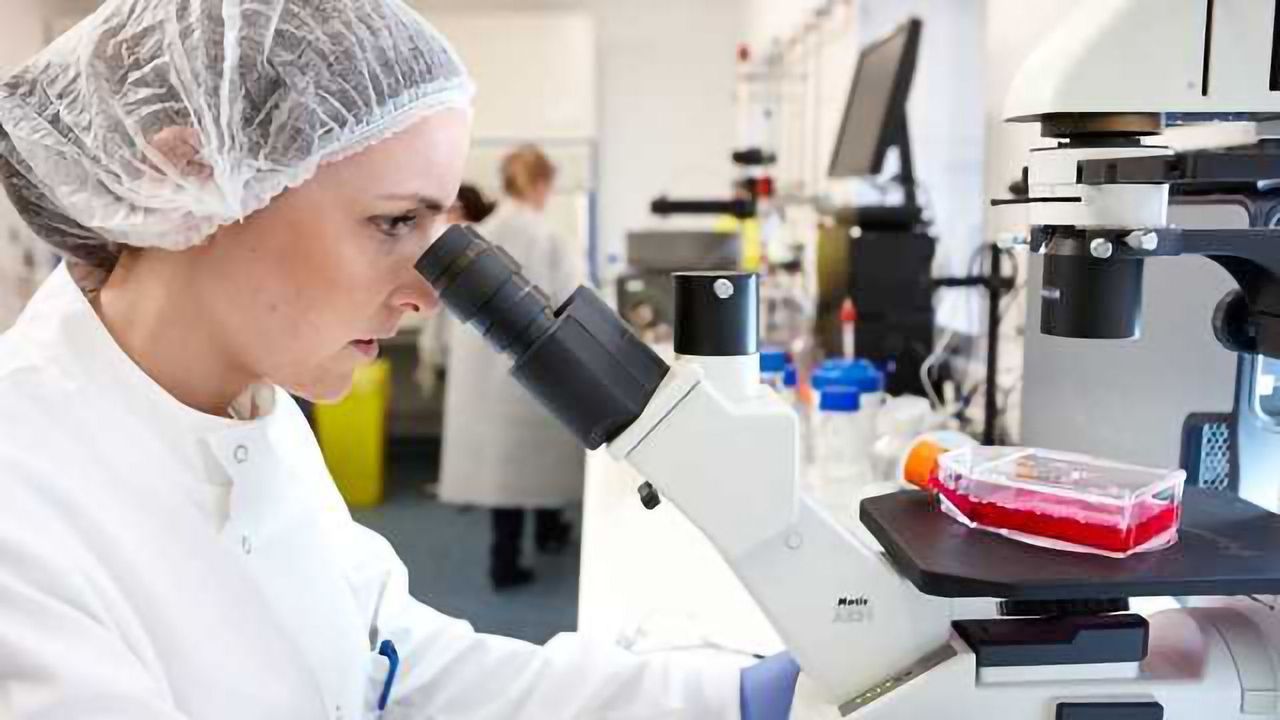BBI Solutions Adds More Antibodies to Product Range