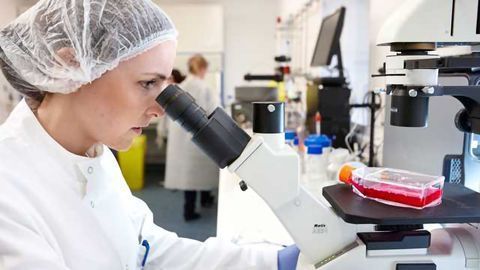 BBI Solutions Adds More Antibodies to Product Range