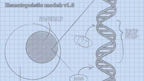 A New CRISPR-Engineered Cancer Model to Test Therapeutics