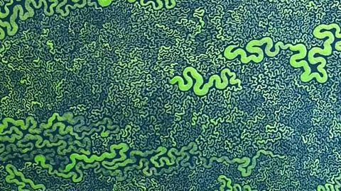Researchers Map Human Genome in 4-D as it Folds