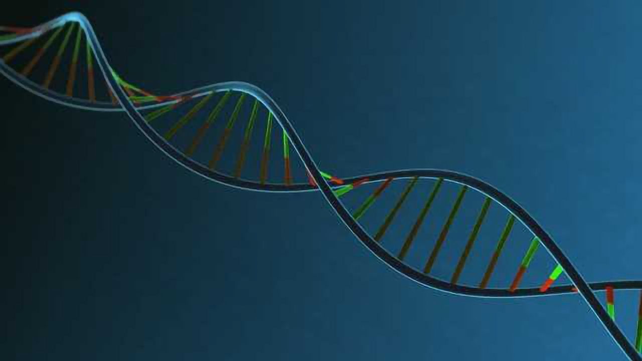 Unexpected Findings Uncover New Understanding of Gene Expression