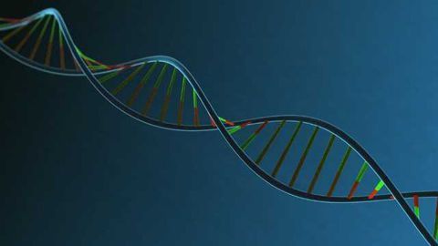 Unexpected Findings Uncover New Understanding of Gene Expression