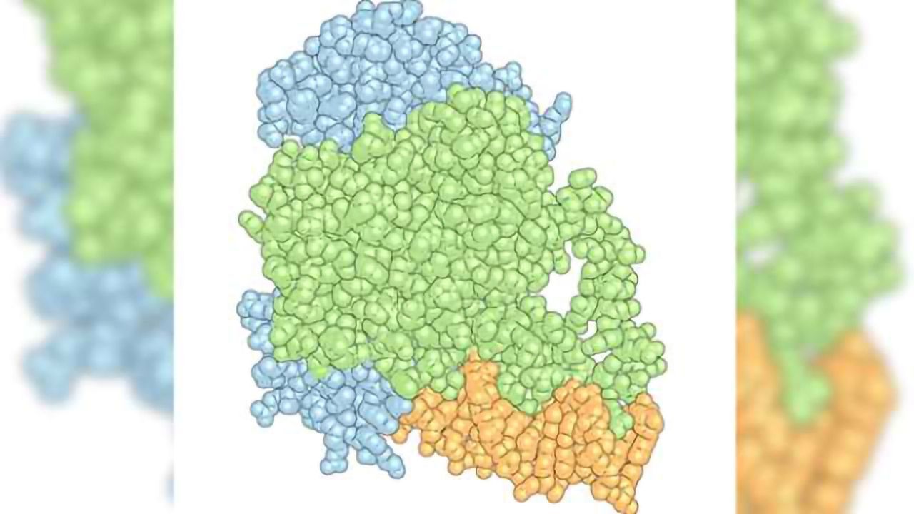 How Do Small Molecules Have Such Varied Effects Throughout the Body?