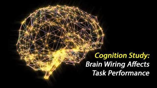 Brain Modularity Explains Relationship Between Task Complexity And