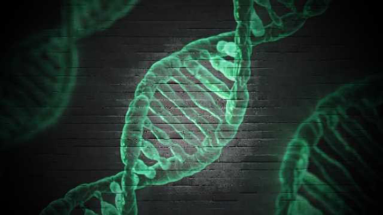Computer Program Detects Differences Between Human Cells
