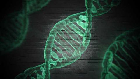 Computer Program Detects Differences Between Human Cells