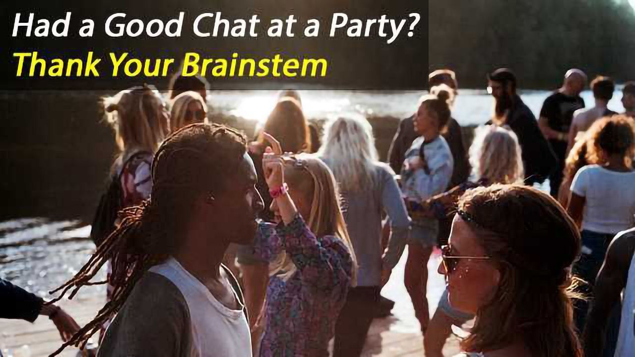 The Neuroscience of Holding a Conversation in a Loud Room Explained