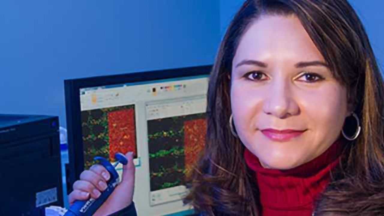 Dielectrophoresis Chromatography Could Advance Laboratory Analysis