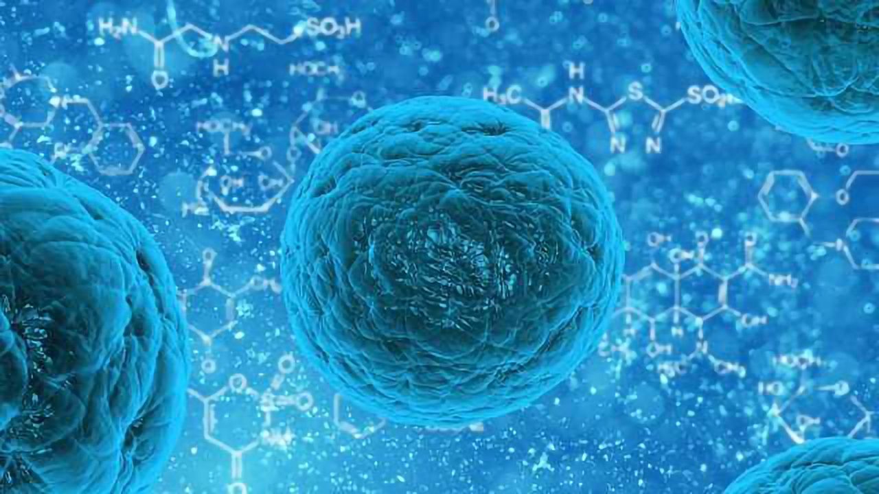 Evotec Achieves First Milestone in Neurodegeneration Alliance with Celgene