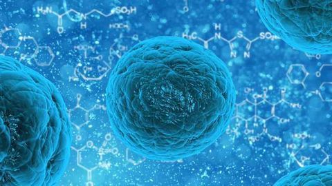 Evotec Achieves First Milestone in Neurodegeneration Alliance with Celgene