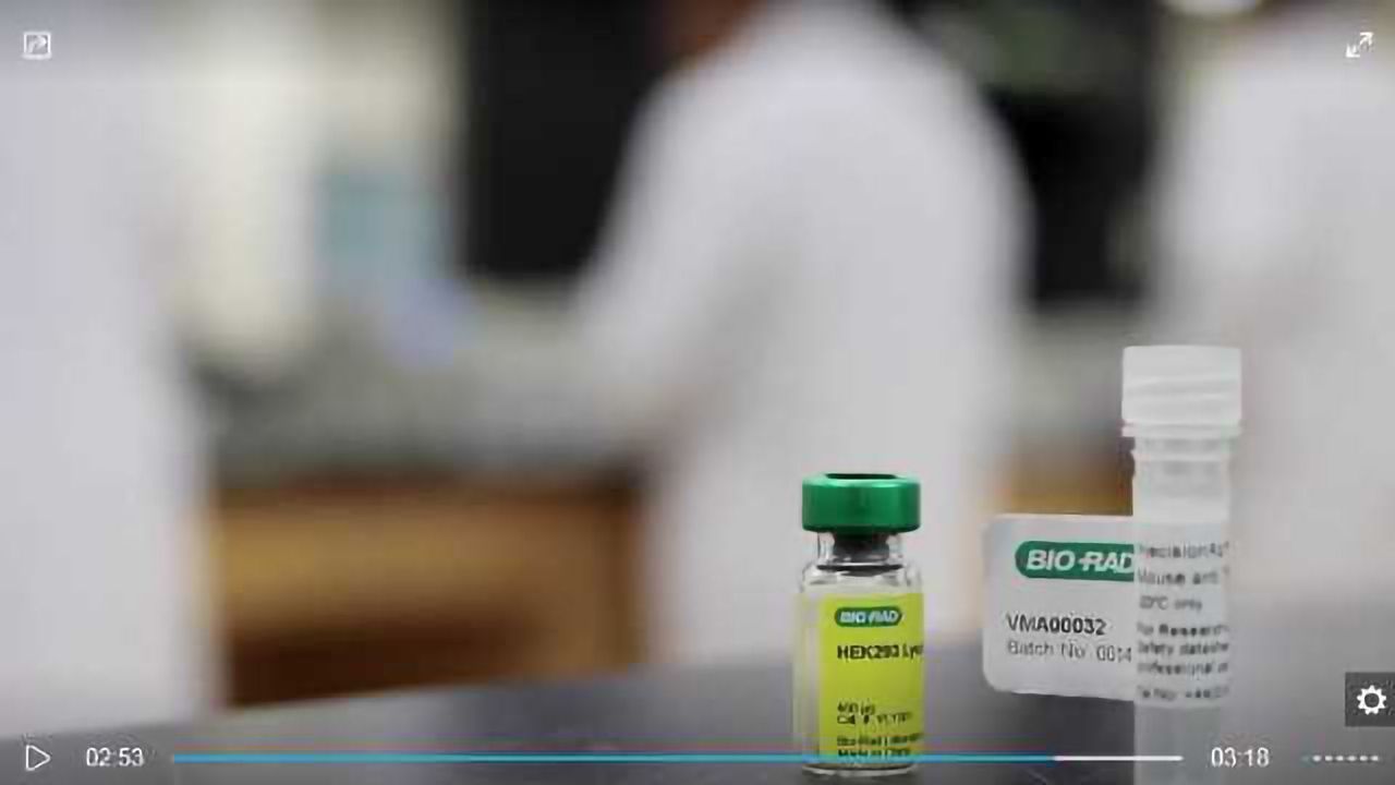 Western Blotting without Trial and Error- Use PrecisionAb™ Antibodies