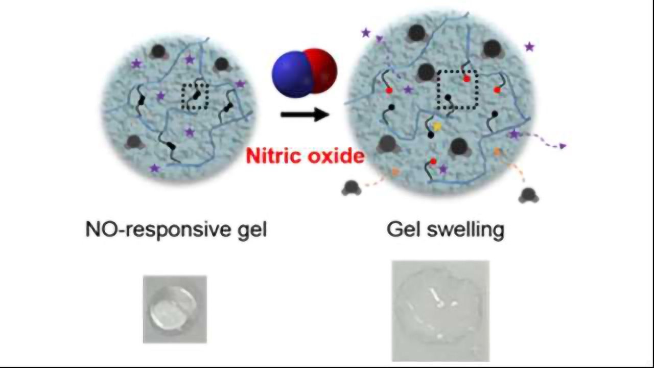 Novel Hydrogel: Targeted Delivery of Drugs for Rheumatoid Arthritis Patients