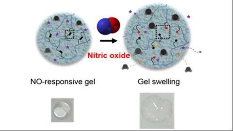Novel Hydrogel: Targeted Delivery of Drugs for Rheumatoid Arthritis Patients
