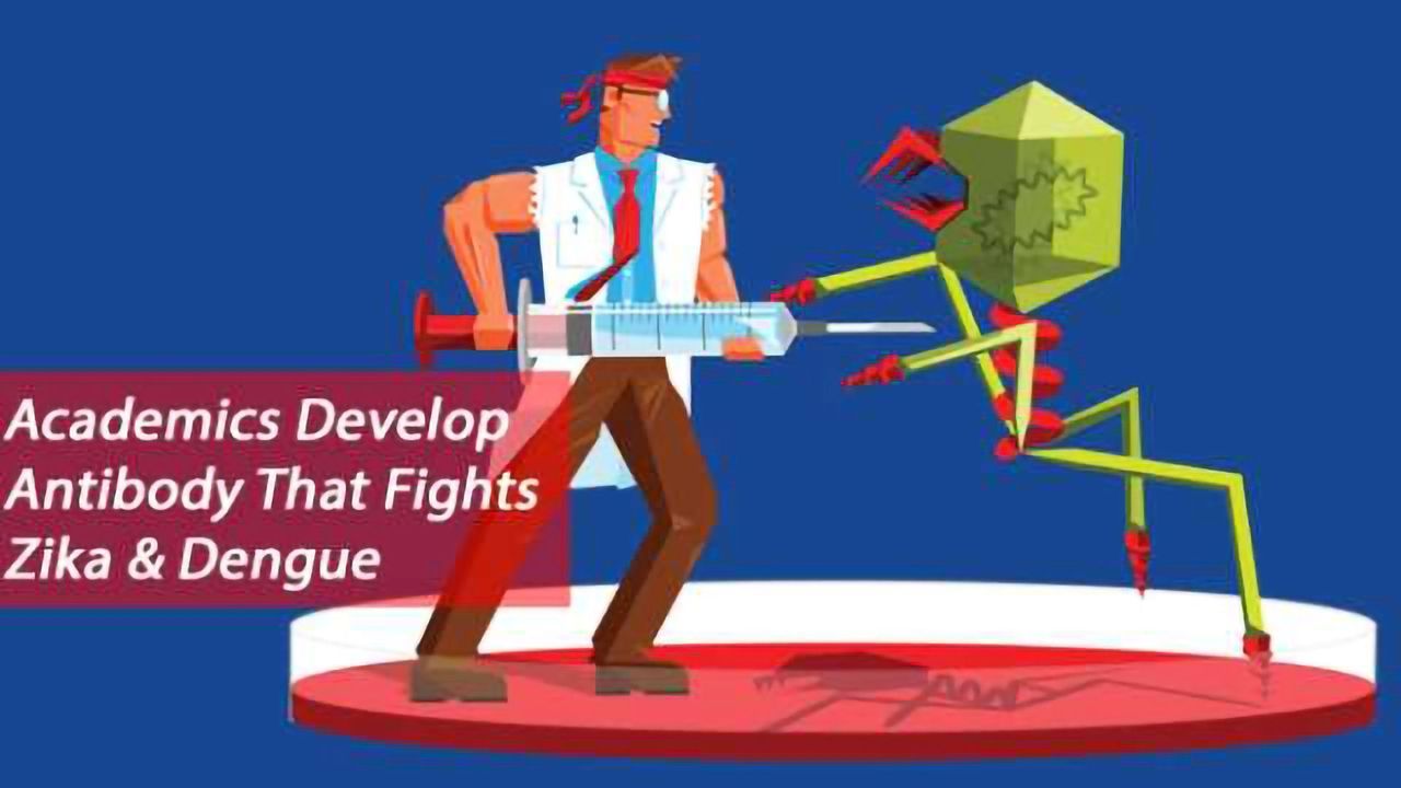 Academics Hone in on Human Antibodies to Fight Zika and Dengue Viruses