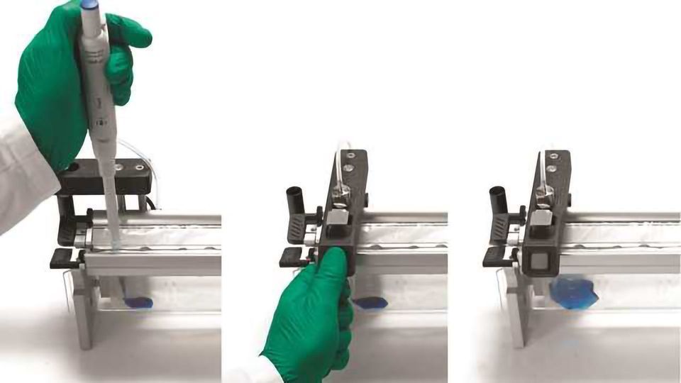 Serial Dilution Bags Greatly Benefit Microbiological Food Testing content piece image