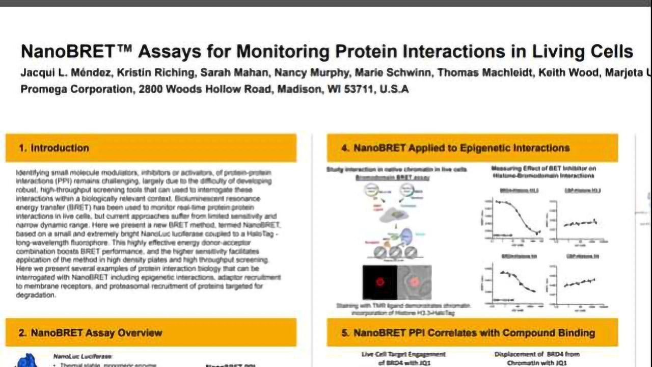 NanoBRET™ Assays for Monitoring Protein Interactions in Living Cells
