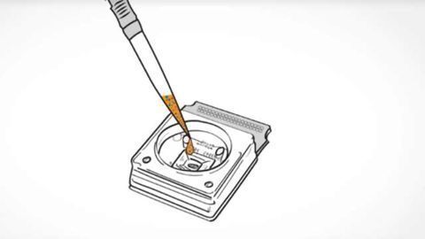 CAN Spectroscopy: a new label-free technique to analyze cells