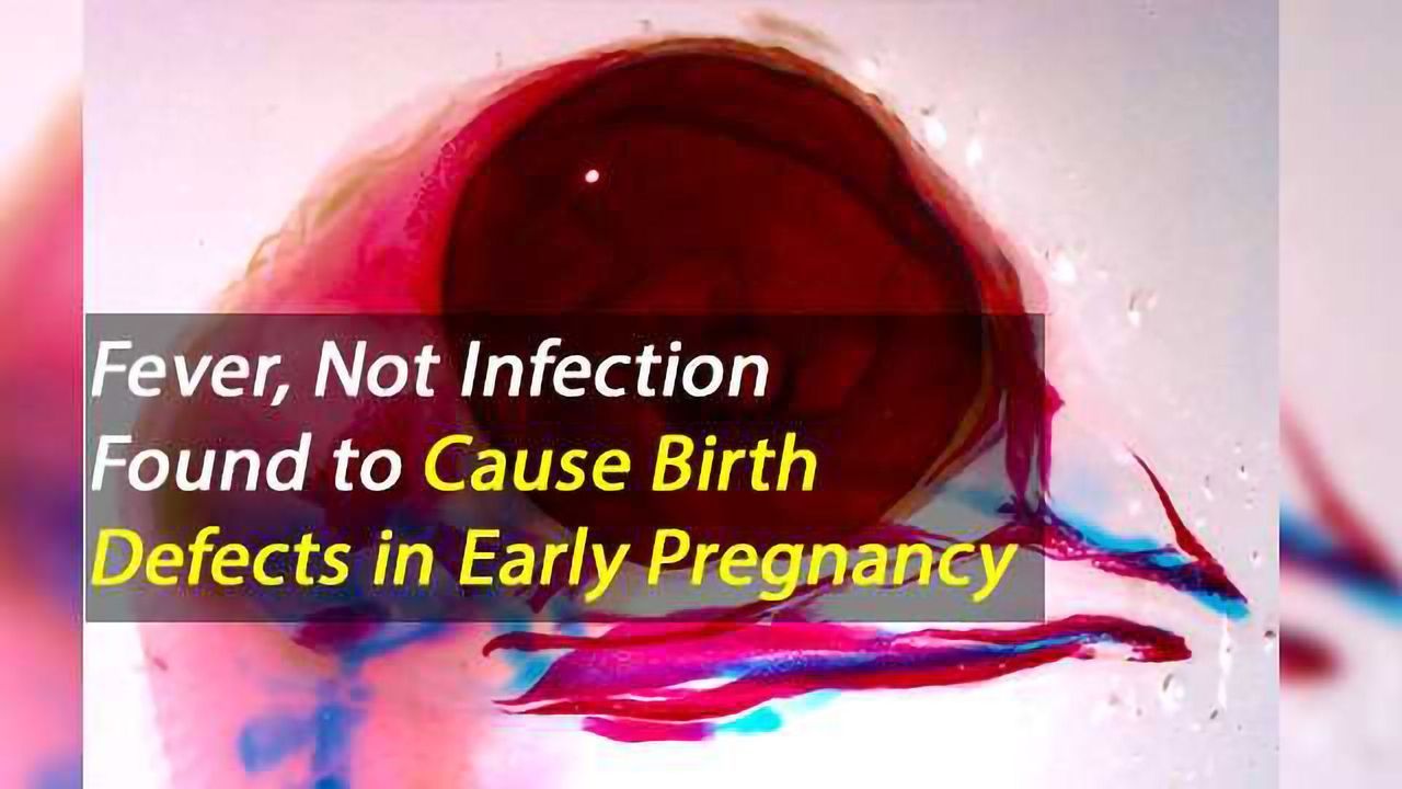 In Utero Fever Conditions Recreated in Animal Model to Explore Effects on Development