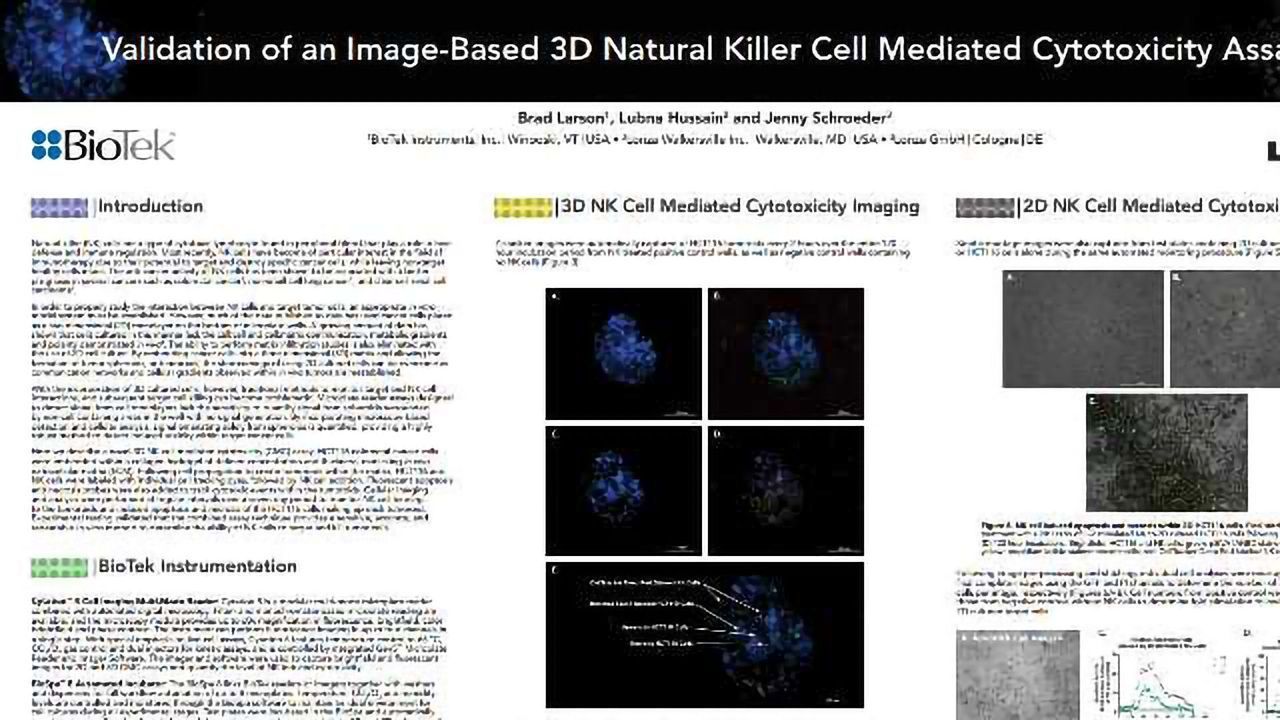 Validation of an Image-Based 3D Natural Killer Cell Mediated Cytotoxicity Assay