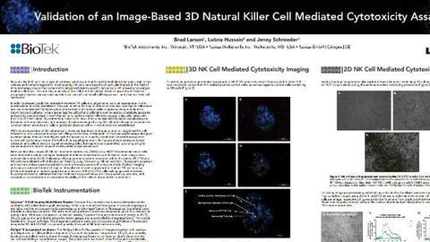 Validation of an Image-Based 3D Natural Killer Cell Mediated Cytotoxicity Assay
