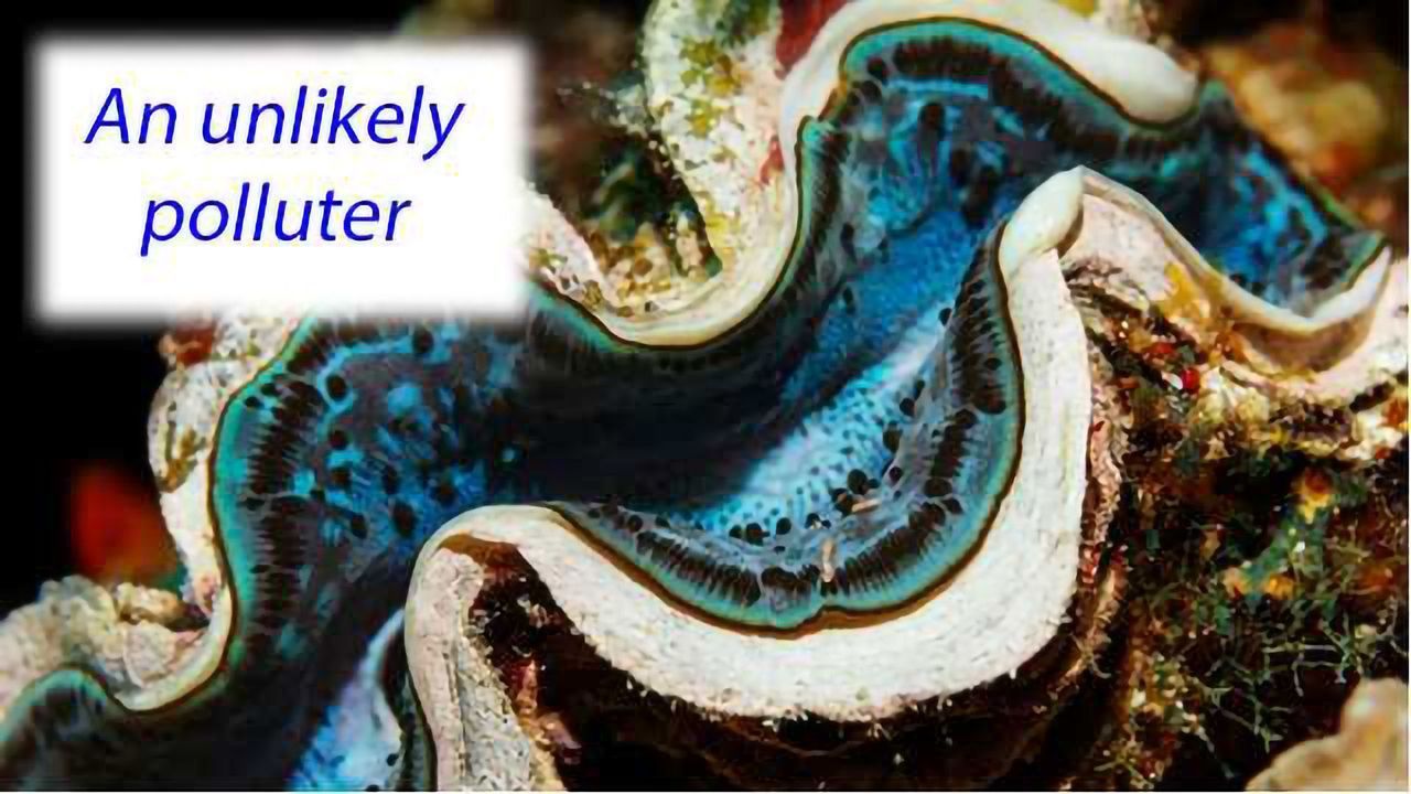 Baltic Sea clams and worms release as much methane as 20,000 dairy cows.