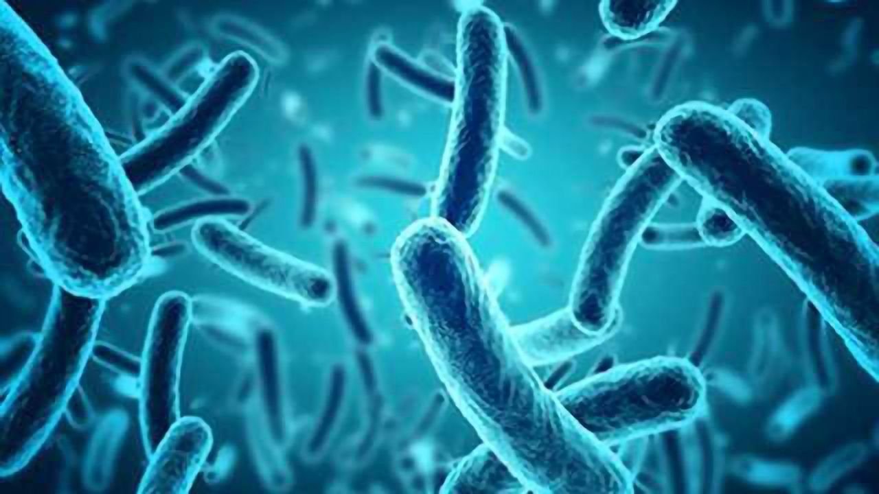 A New Tactic in the Fight Against Drug-Resistant Infections