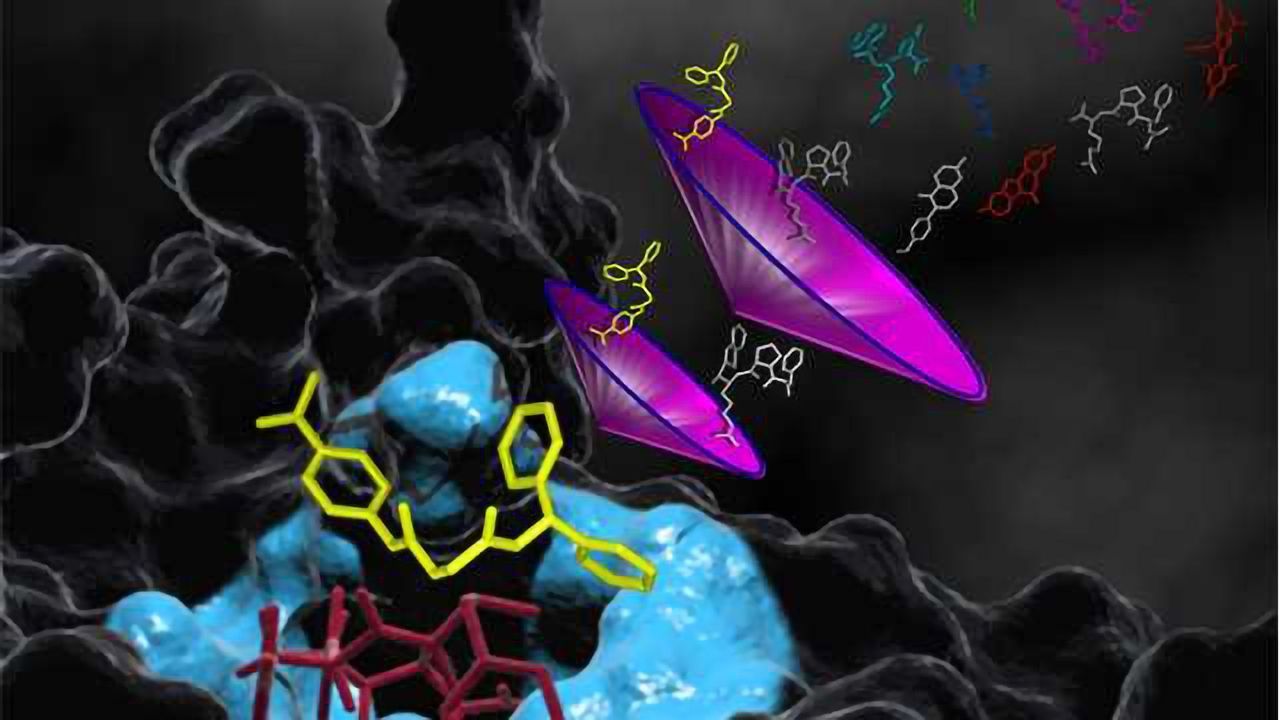 Protein Motion Questions Unravelled