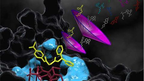 Protein Motion Questions Unravelled