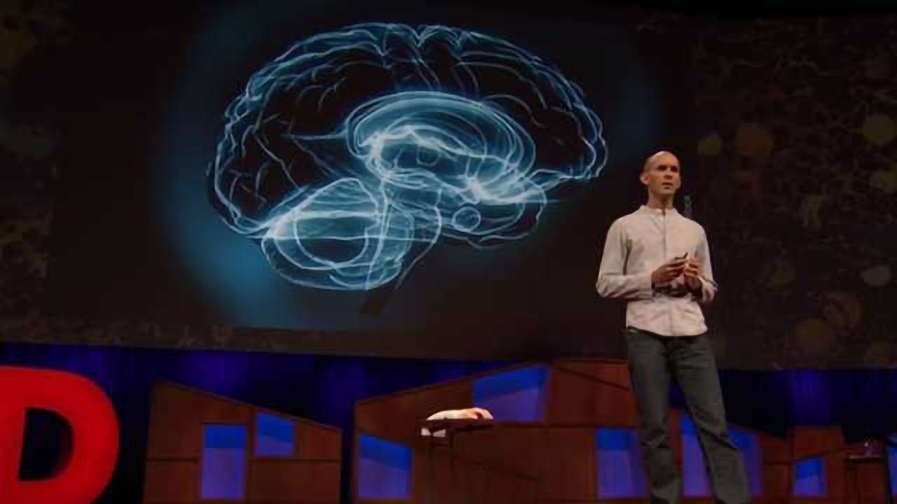 Anil Seth Explains How Your Brain Hallucinates Consciousness